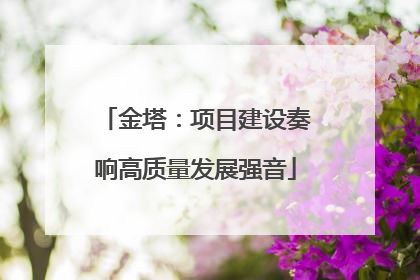 金塔：项目建设奏响高质量发展强音